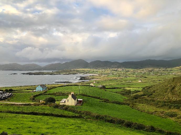 white and brown house on green grass field near body of water during daytime