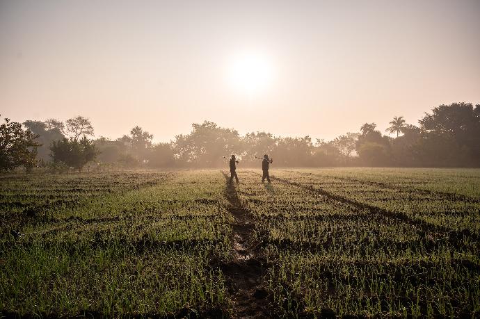 silhouette of 2 person walking on green grass field during daytime