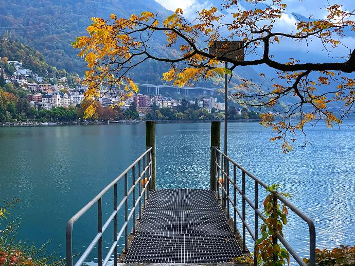 brown wooden dock on lake during daytime